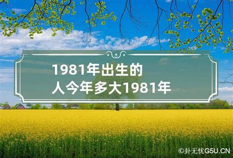 1981出生|1981年现在多大了 今年多大年龄